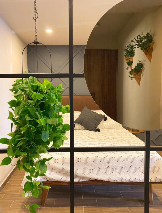 Apartament Layoo, Tu Casa En Oaxaca 101 Zewnętrze zdjęcie